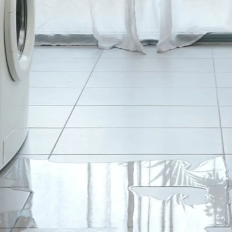 Appliance Leak Cleanup in Dallas County, AR