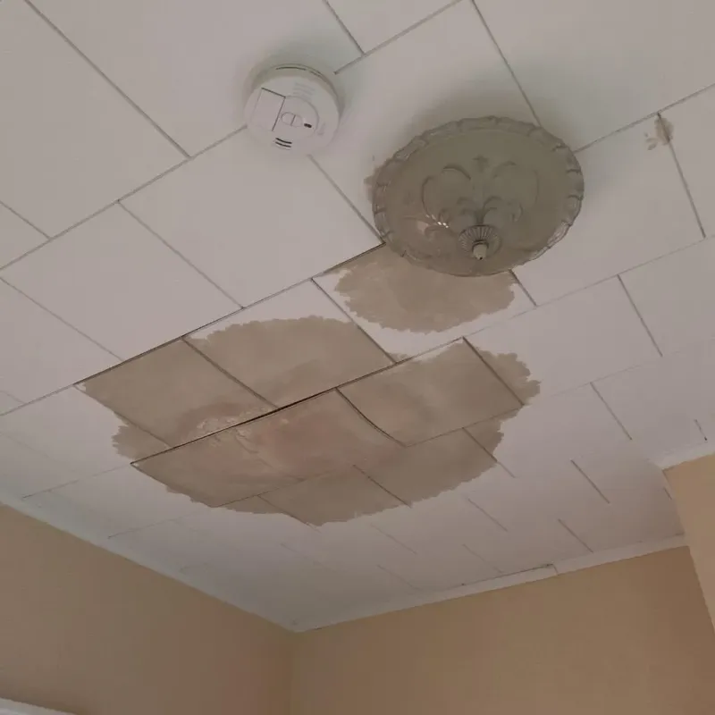 Ceiling Water Damage Repair in Dallas County, AR