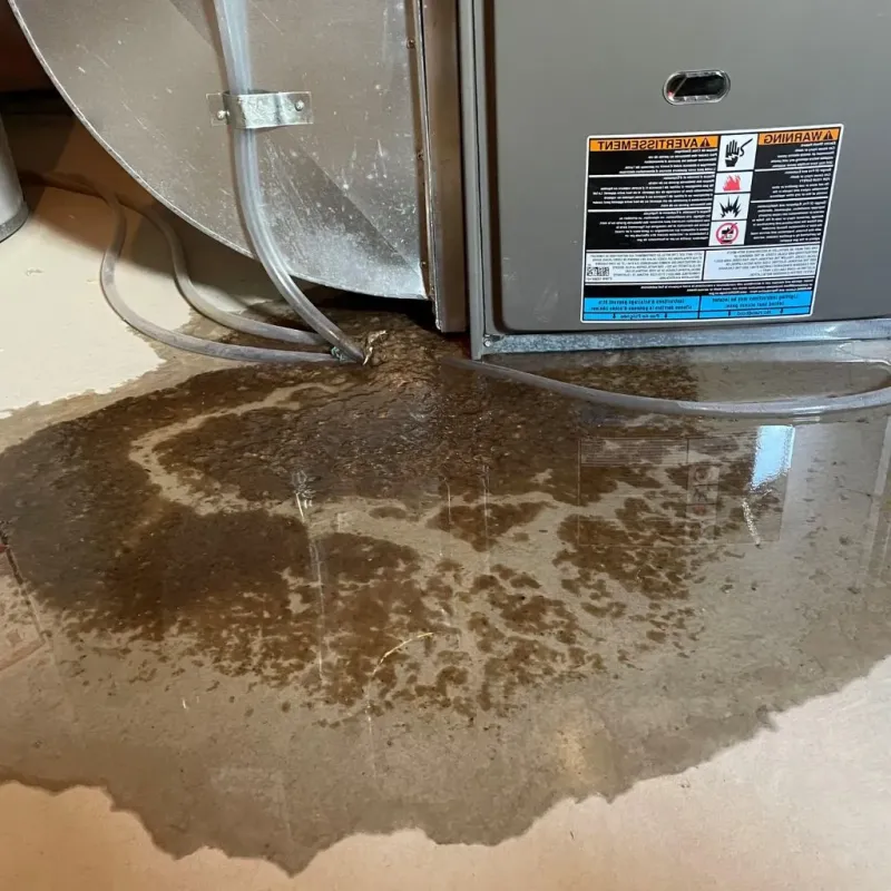 Pipe Burst and Leak Restoration in Dallas County, AR