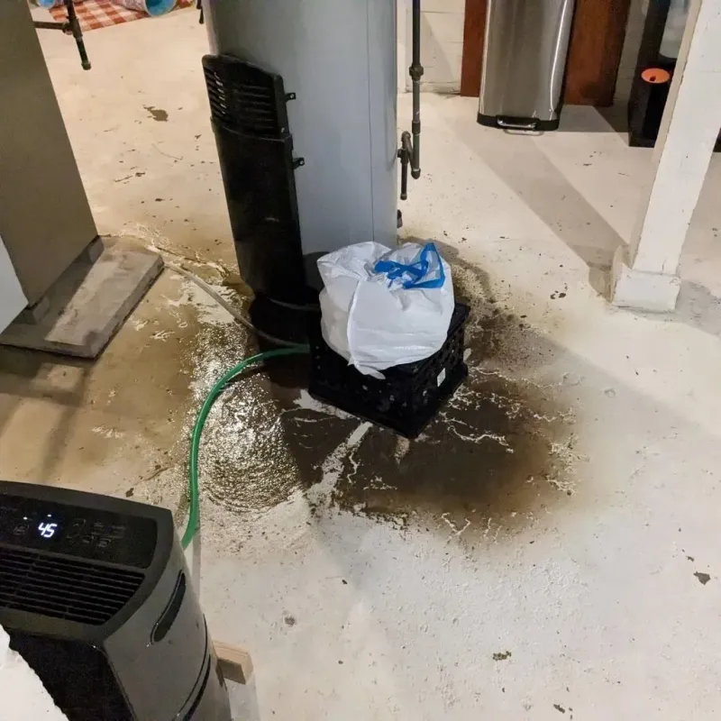 Sewage Backup Cleanup Service in Dallas County, AR